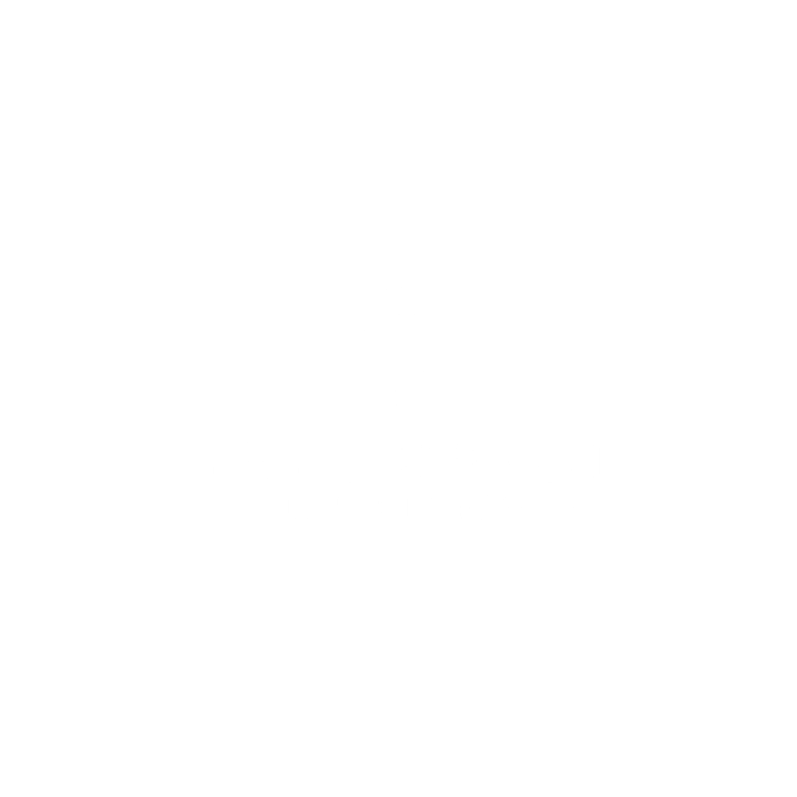 The Sunnah Experience